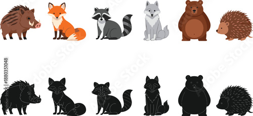 Cute forest animals collection with colorful illustrations and black silhouettes including bear, fox, wolf, raccoon, hedgehog, and wild boar vector.