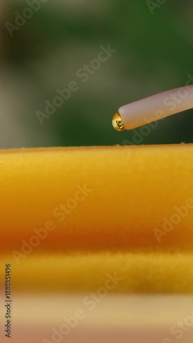 Wallpaper Mural Female hand press on built-in dispenser in the sink with detergent. Woman washing dishes by yellow sponge with soap in white kitchen. Housekeeping concept. Vertical footage Torontodigital.ca