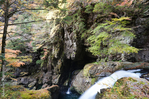 秋の自然に包まれたみたらい渓谷