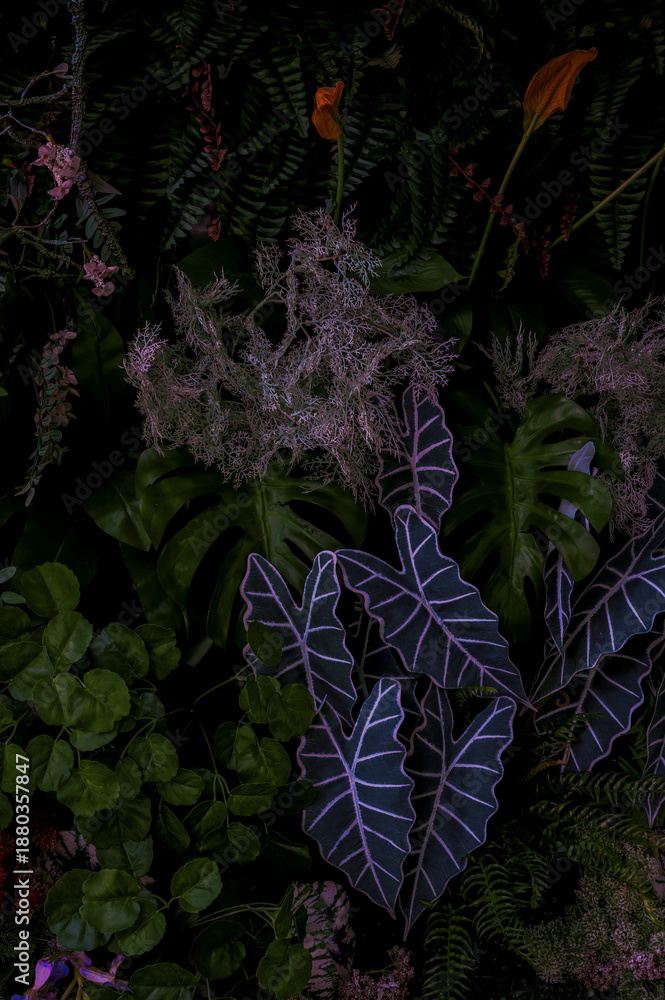 Fototapeta premium Mixed leaves, green leaves, abstract texture, tropical leaves, natural dark green background. 