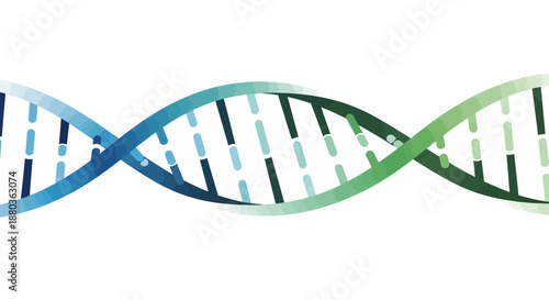 Interconnected DNA strands in gradient colors, studio shot, abstract representation of genetic code