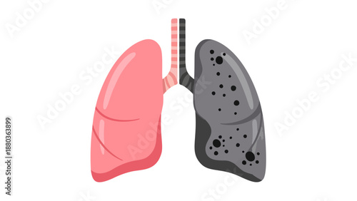 Illustration of human lungs comparison, healthy and diseased, detailed medical art, anatomical study, contrasting lung health