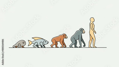 A vector graphic illustration depicting the evolution of life from fish to human