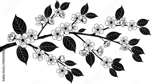 Cherry blossom branch silhouette with flowers and leaves isolated on white background floral nature botanical illustration design