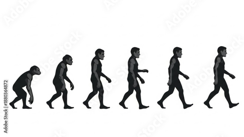 A vector graphic illustration depicting the evolution of humans from ape to modern man