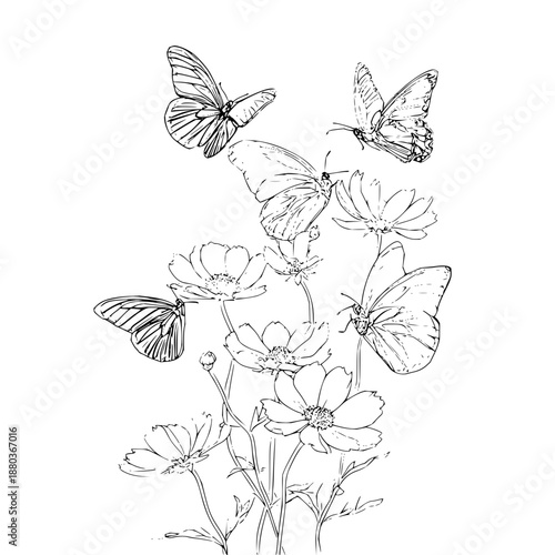 Conceptual Black Background with Ample Copy Space, Minimalist Design