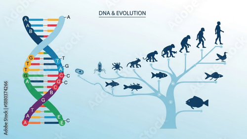 A vector graphic illustrating DNA and evolution with a tree of life