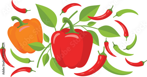 Fresh chili peppers and bell peppers vector illustration with spicy red green vegetables and leafy composition isolated