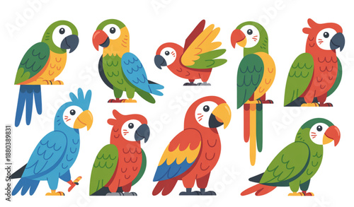 Find the Same Parrots Educational Matching Game Vector for Kids