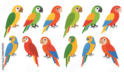 Find Two Identical Parrots Educational Matching Game for Kids Vector