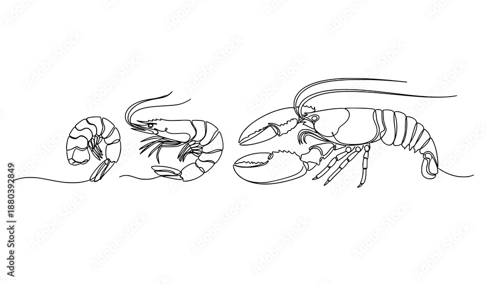 Fototapeta premium Minimal continuous line shrimp prawn lobster vector illustration seafood concept