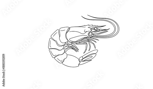 Continuous line drawing of shrimp vector illustration seafood concept
