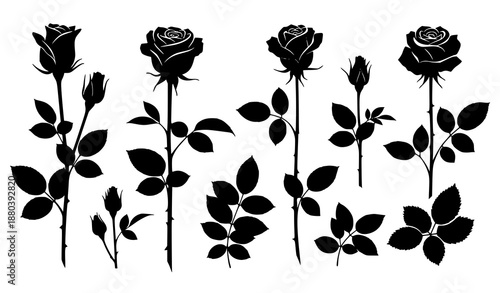 Rose flower silhouette icon collection black and white vector illustration