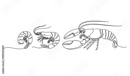 Minimal continuous line shrimp prawn lobster vector illustration seafood concept