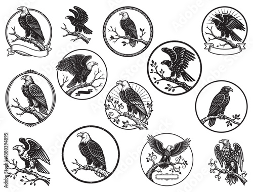 EAGLE SITTING ON BRANCH SILHOUETTE