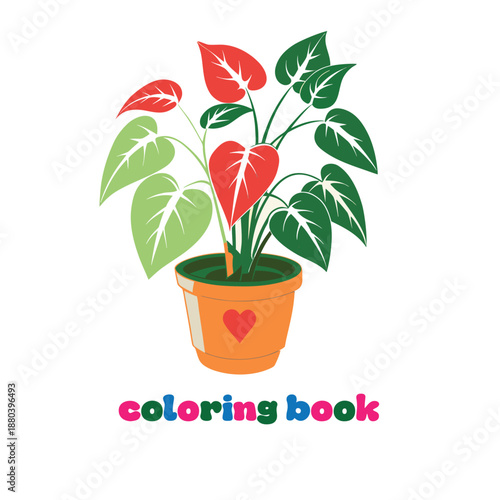 make me a beautiful design 