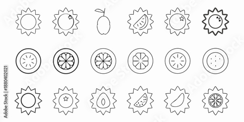 Collection of hand drawn citrus fruit and slice icons in black and white
