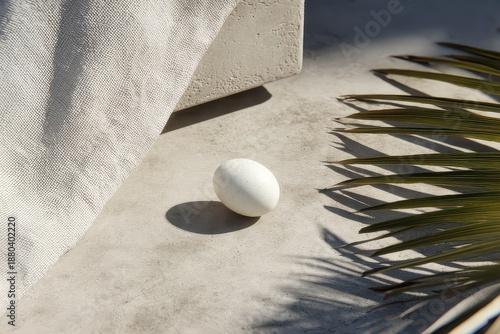 Single White Egg on Concrete Surface with Tropical Palm Fronds Casting Shadows Minimalist Still Life Composition Under Bright Sunlight in Studio Setting