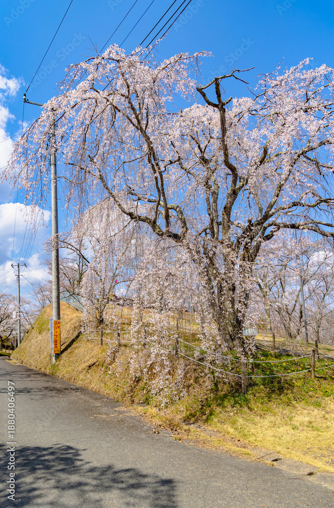 Obraz premium 西山公園（西山荘近辺）