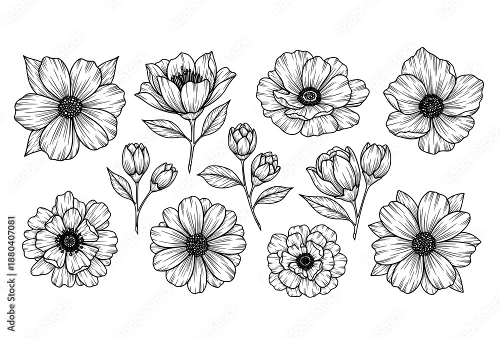 Fototapeta premium Bold floral line art vector set with hand drawn flowers and leaves on white background