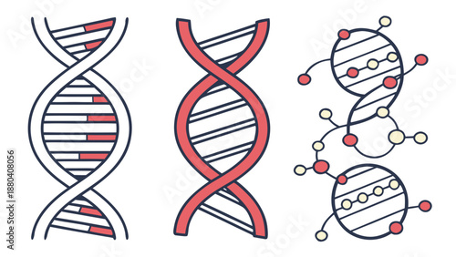 Illustrations of dna structures isolated on white background, Vector
