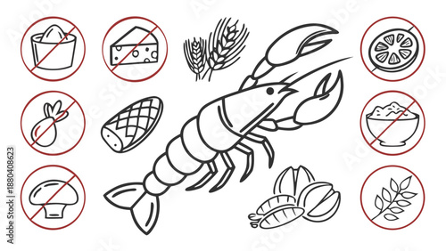 Lobster dish with various ingredients isolated on white background, Vector