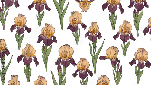 Stylized illustration of purple and gold irises on a white background