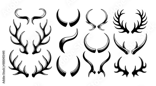 Collection of black stylized deer antlers and animal horns a white background wildlife