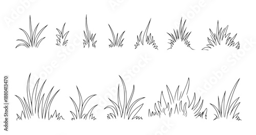 Collection of hand drawn grass clumps in black outline a white background nature plant