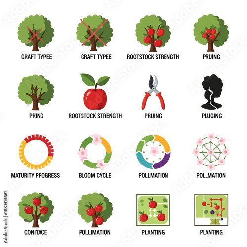 Tree Growth Stages and Gardening Techniques Illustrated.