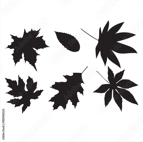 autumn leaves vector illustration