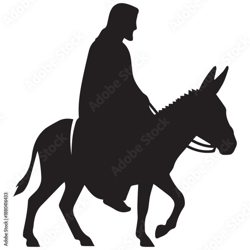 Man riding donkey isolated on white background, Vector, illustration