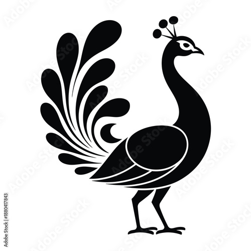 a black silhouette of a peacock standing proudly