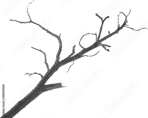 Black and white bare tree branch illustration with organic twigs and minimal composition. Abstract botanical branch rendered in vintage halftone engraved style. Ideal for nature concepts, seasonal des