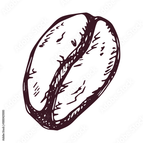 Hand drawn fresh roasted coffee bean Arabica robusta seed doodle Single element for print, web, design, decor