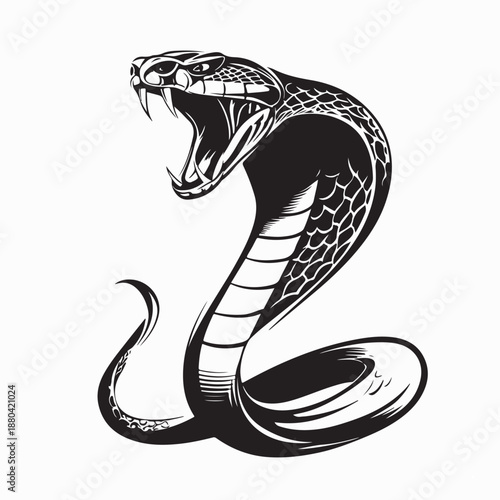 A snake attacking with its mouth open image vector on white background