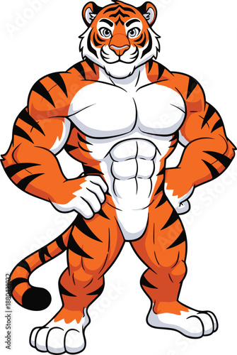 Powerful muscular tiger mascot illustration, strong anthropomorphic cartoon tiger character standing confident, vector animal hero design for sports branding