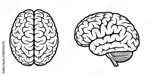 Stylized human brain views and side black outline white background head mind