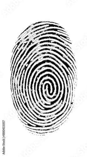 Vector realistic style fingerprint isolated on white Transparent background.