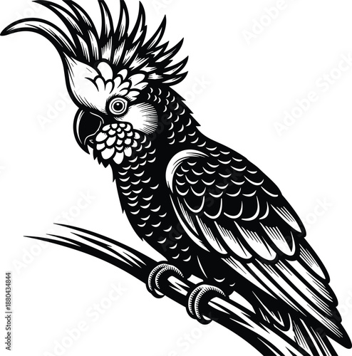 Detailed black and white cockatoo parrot illustration perched on branch, exotic tropical bird woodcut vector art for nature logos, wildlife