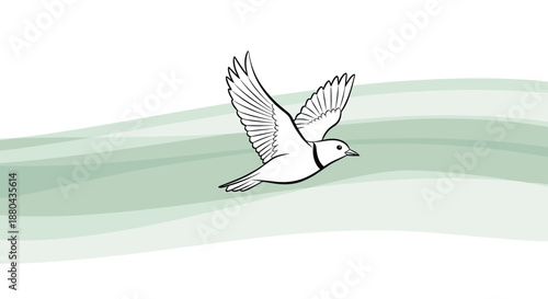 Simple line drawing of a bird in flight over soft green wavy horizontal lines representing hills or water on a white background.