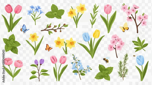Spring Flowers Collection Botanical Elements and Insects.