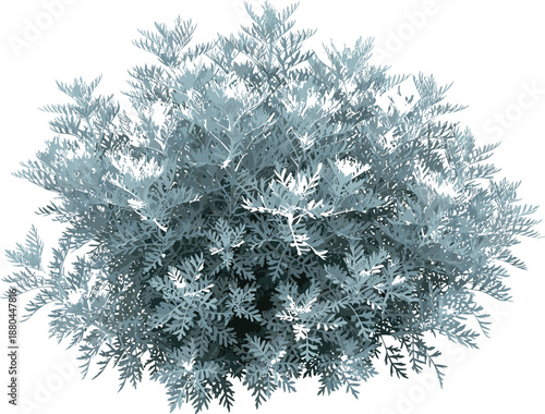Realistic blue green shrub bush illustration isolated on white background for landscaping design botanical decoration garden and natural foliage concepts
