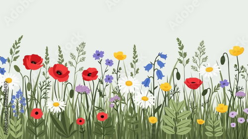 Colorful Wildflower Meadow Border Illustration.