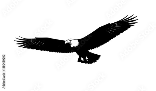 Bald eagle flying silhouette vector illustration isolated on white background