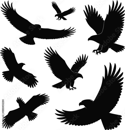 eagle, silhouettes, flying, birds, wildlife, predator, wings, nature, raptor, freedom, sky, animal, black, figures, isolated, white, background, vector, illustration, collection