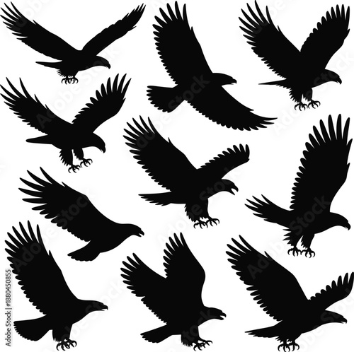 Collection of eagle silhouettes, flying bird of prey shapes isolated on white background for wildlife, nature illustration, freedom, and graphic design concepts