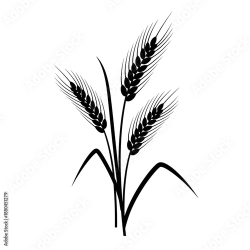 a black and white image of three wheat stalks