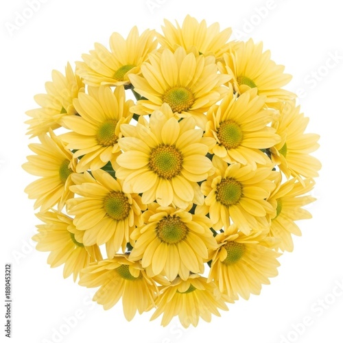 Golden Blooms: A captivating array of radiant yellow daisy-like flowers bursts forth, offering a visual symphony of vibrant hues and delicate textures.