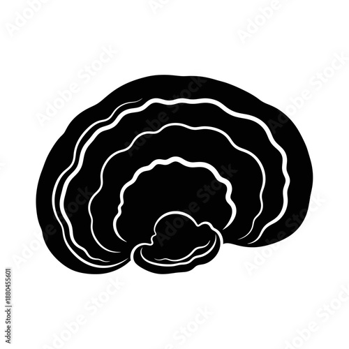 a black and white illustration of a mushroom or fungus with multiple layers